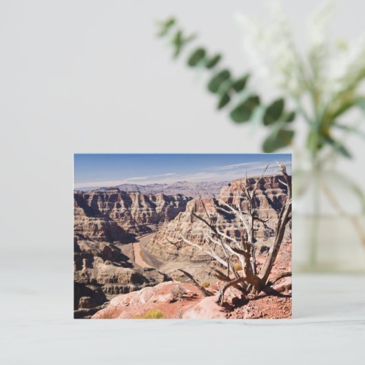Carte Postale Grand Canyon (Debout devant)