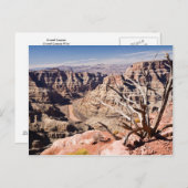 Carte Postale Grand Canyon (Devant / Derrière)