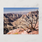 Carte Postale Grand Canyon (Devant)