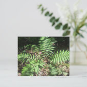 Carte Postale Grand Canyon (Debout devant)