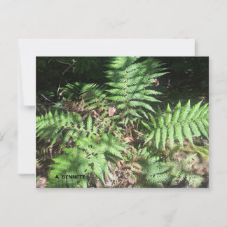 Carte Postale Grand Canyon