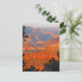 Carte Postale grand canyon (Debout devant)