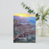 Carte Postale Grand canyon (Debout devant)