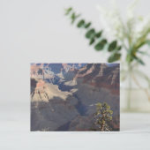 Carte Postale Grand Canyon (5) (Debout devant)