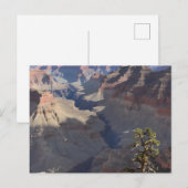 Carte Postale Grand Canyon (5) (Devant / Derrière)