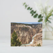 Carte Postale Grand Canyon de Yellowstone (Debout devant)