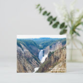 Carte Postale Grand Canyon de Yellowstone (Debout devant)