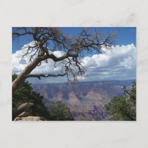 Carte Postale Grand Canyon Le désert peint Arizona PostCard