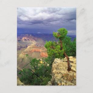Carte Postale Grand Canyon National Park, Arizona, United 3