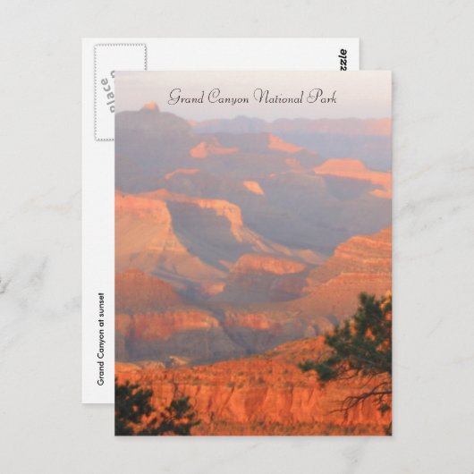 Carte Postale grand canyon np (Devant / Derrière)