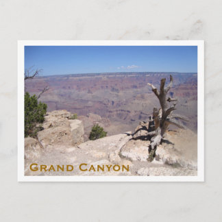 Carte Postale Grand Canyon, South Rim