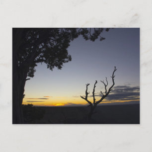 Carte postale Grand Canyon Sunset 3