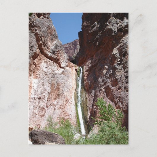 Carte Postale Grand Canyon Upper Ribbon Falls (Devant)