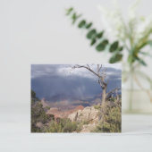 Carte postale "Grand Canyon Views" (Debout devant)