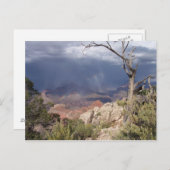 Carte postale "Grand Canyon Views" (Devant / Derrière)