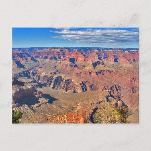 Carte Postale Grand Canyon Vista (Devant)