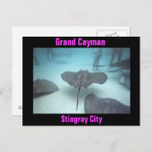 Carte postale Grand Cayman (Devant / Derrière)