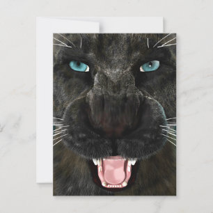 Carte Postale Grand Chat Panther Noir