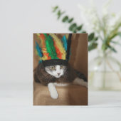 Carte Postale Grand chef Mikie (Debout devant)