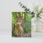 Carte postale Grand Chouette (Debout devant)