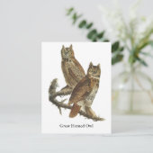 Carte Postale Grand Chouette à la corne, John Audubon (Debout devant)