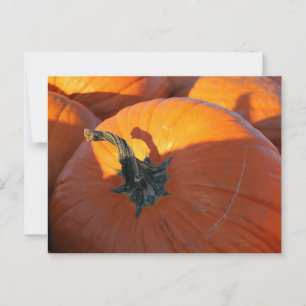 Carte Postale Grand Citrouille orange