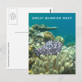 Carte Postale grand corail barrière (Devant / Derrière)