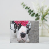 Carte Postale Grand Danois avec des fleurs (Debout devant)