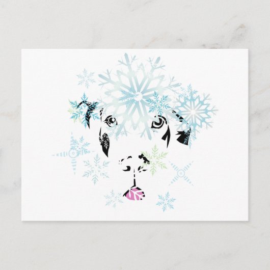 Carte Postale Grand Danois d'hiver (Devant)