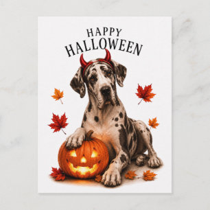 Carte Postale Grand Danois Halloween