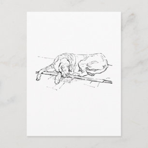 Carte postale Grand Danois, illustration encre de