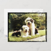 Carte Postale Grand dehors ! (Devant / Derrière)