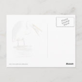 Carte Postale Grand Déjeuner d'aigrette (Dos)