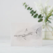 Carte Postale Grand dessin de requin blanc (Debout devant)