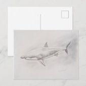 Carte Postale Grand dessin de requin blanc (Devant / Derrière)