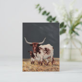 Carte Postale Grand emplacement et petit emplacement (Debout devant)