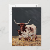 Carte Postale Grand emplacement et petit emplacement (Devant / Derrière)