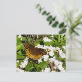 Carte Postale Grand Fritillaire en éperon sur le Laurel de monta (Debout devant)