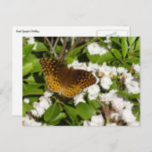 Carte Postale Grand Fritillaire en éperon sur le Laurel de monta (Devant / Derrière)