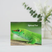 Carte Postale Grand Gecko diurne vert (Debout devant)