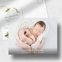 Grand Héron Blanc Photo Annonces de naissance