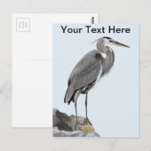 Carte Postale Grand héron bleu (Devant / Derrière)