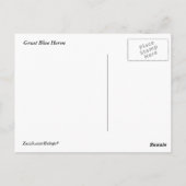 Carte Postale Grand héron bleu (Dos)