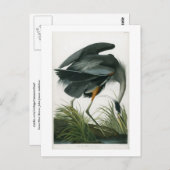 Carte Postale Grand héron bleu, John James Audubon (Devant / Derrière)
