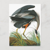 Carte Postale Grand héron bleu par John James Audubon (Devant)