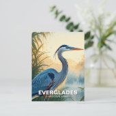 Carte Postale Grand Héron bleu Parc national des Everglades Mati (Debout devant)
