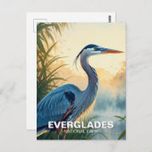 Carte Postale Grand Héron bleu Parc national des Everglades Mati (Devant / Derrière)