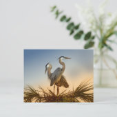 Carte Postale Grand héros bleu au lever du soleil (Debout devant)