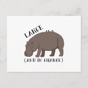 Carte Postale Grand Hippopotame
