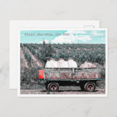 CARTE POSTALE GRAND JONCTION COLORADO (Devant / Derrière)